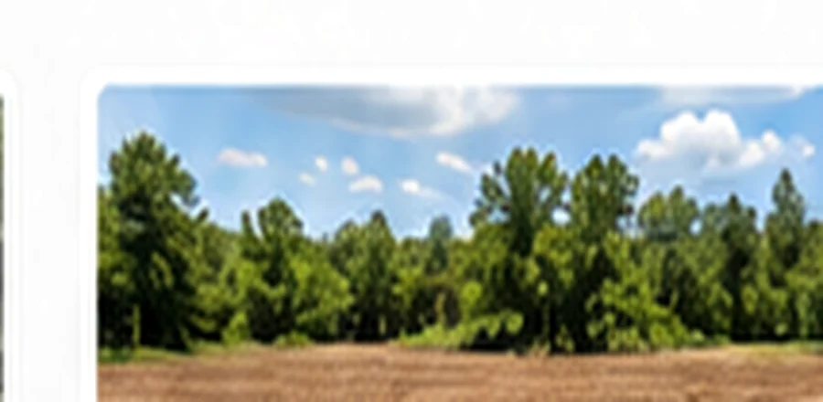 Bush hogging in Ohio