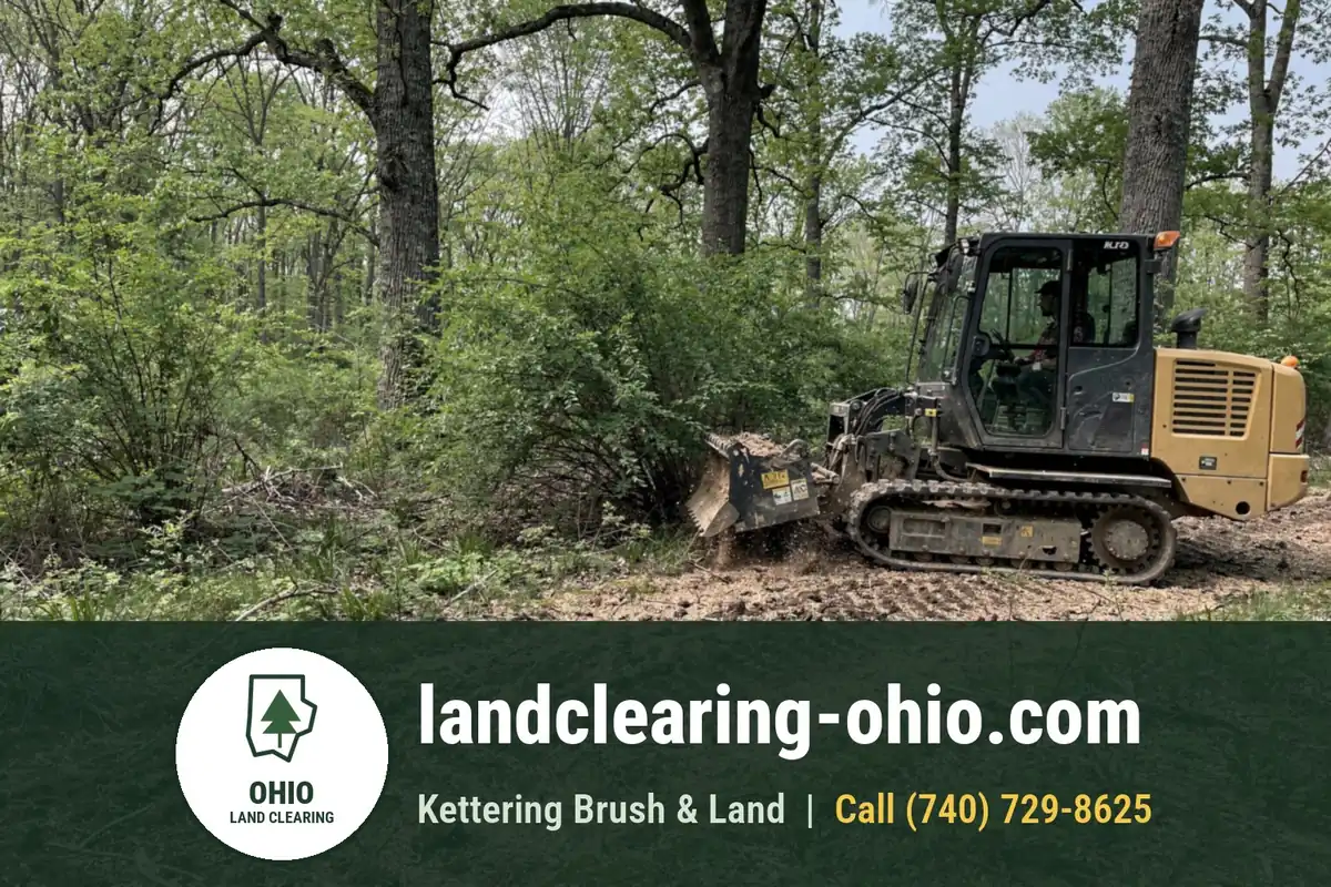 Forestry Mulching in Ohio Forestry mulching under tall trees on an Ohio property