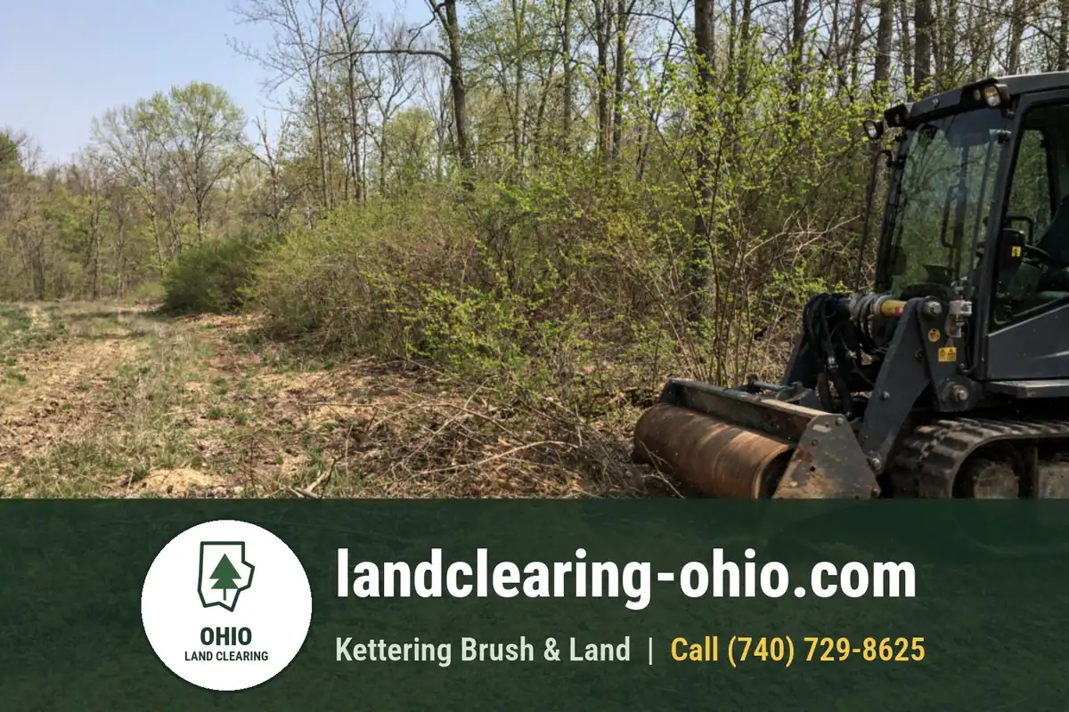 Land Clearing and Forestry Mulching in Hudson, OH Land Clearing and Forestry Mulching in Hudson, OH: land clearing equipment at work