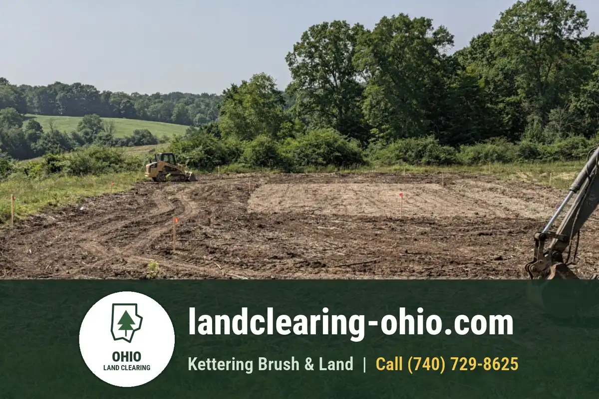 Land Clearing and Forestry Mulching in Liberty Township, OH Land Clearing and Forestry Mulching in Liberty Township, OH: land clearing equipment at work