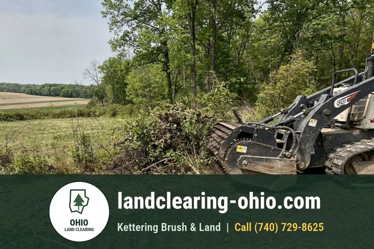 Land Clearing and Forestry Mulching in London, OH Land Clearing and Forestry Mulching in London, OH: land clearing equipment at work