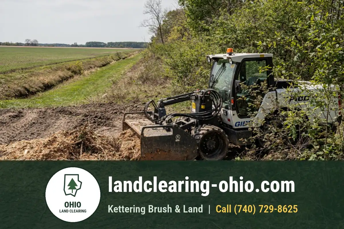 Land Clearing and Forestry Mulching in Sylvania, OH Land Clearing and Forestry Mulching in Sylvania, OH: land clearing equipment at work