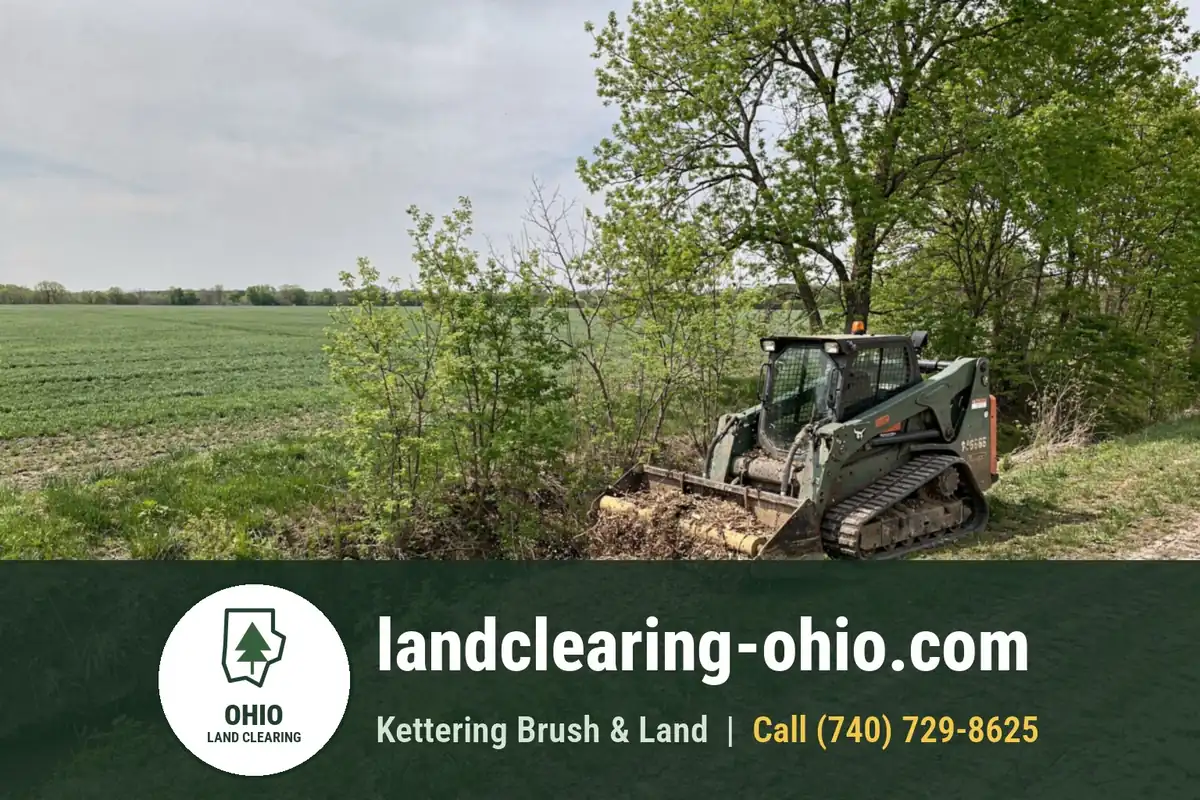 Land Clearing and Forestry Mulching in Northwest Ohio Land Clearing and Forestry Mulching in Northwest Ohio: land clearing equipment at work